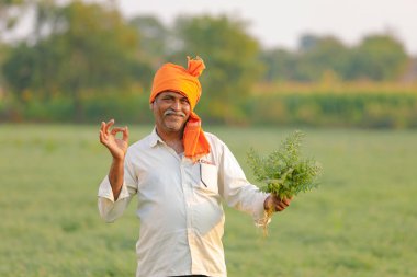 Nohut alan, nohut bitki gösterilen çiftçi adlı Hintli çiftçi