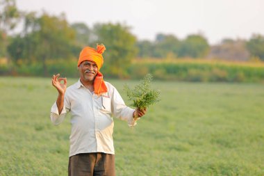 Nohut alan, nohut bitki gösterilen çiftçi adlı Hintli çiftçi