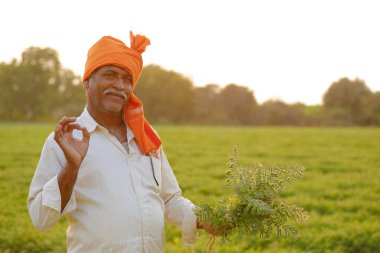 Nohut alan, nohut bitki gösterilen çiftçi adlı Hintli çiftçi