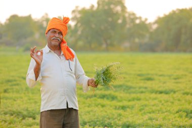 Nohut alan, nohut bitki gösterilen çiftçi adlı Hintli çiftçi