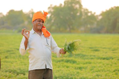 Nohut alan, nohut bitki gösterilen çiftçi adlı Hintli çiftçi