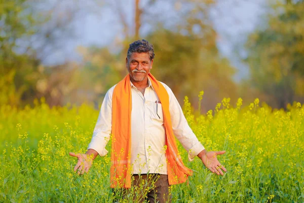 Indian Farmer Black Mustard Field — Stock Photo, Image