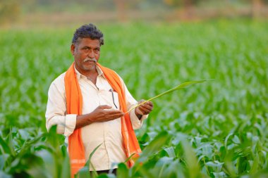 Yeşil corn Field'da Hintli çiftçi