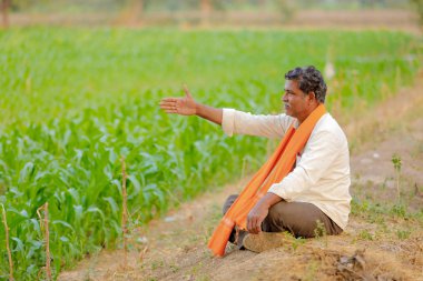 Yeşil corn Field'da Hintli çiftçi