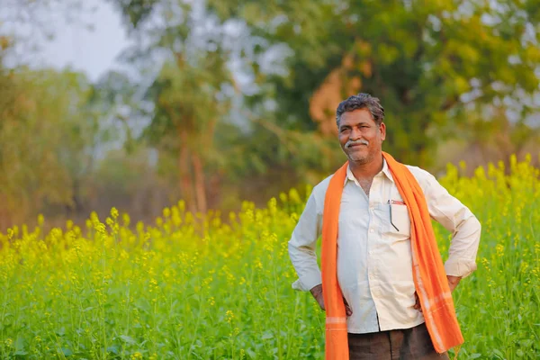 Індійських Фермерів Родовищі Чорна Гірчиця — стокове фото