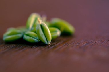 green Wheat on dark wooden board