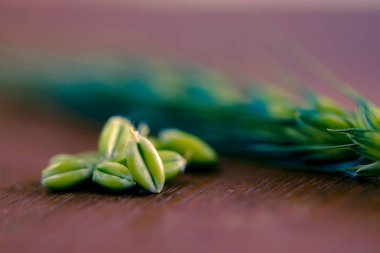 green Wheat on dark wooden board