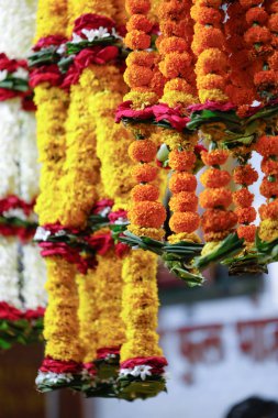 yellow marigold flower market