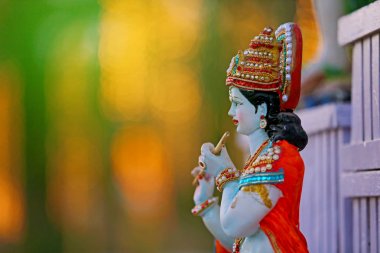 Indian God , lord krishna