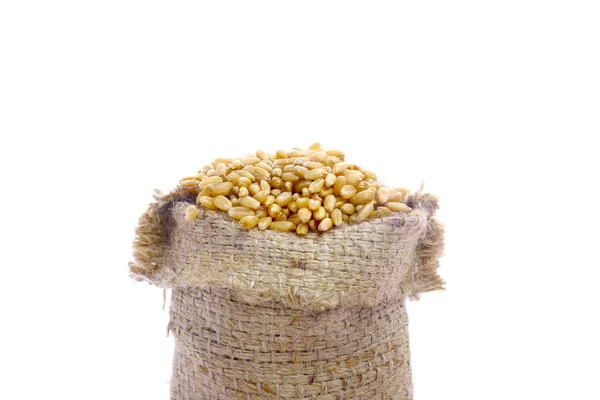 Wheat Grain Bag — стоковое фото