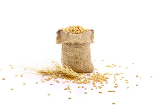 Wheat Grain Bag — Stock Photo, Image