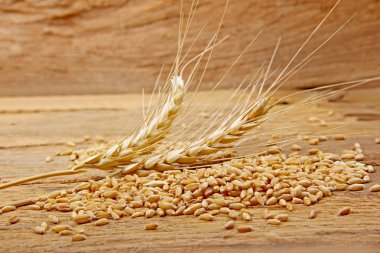 Wheat on wooden texture background