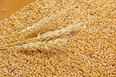 Wheat on wooden texture background
