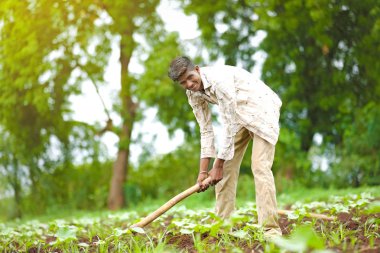 worker work in farm.