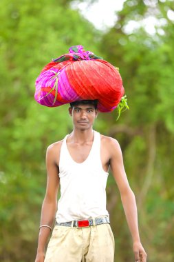 worker work in farm.