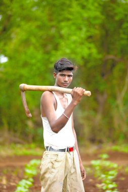 worker work in farm.