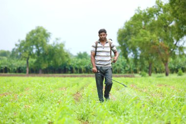 worker spraying at field.