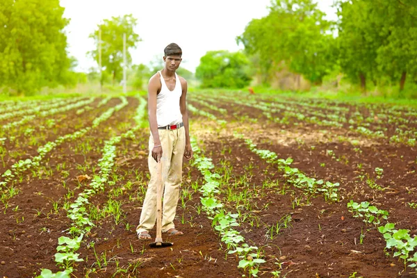 Worker Work Farm — Stock Photo, Image