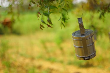 Tiffin hanging on tree 