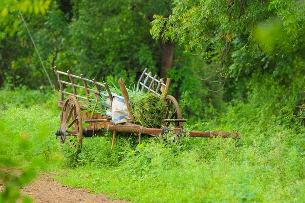 Bull Cart Farm — Stockfoto