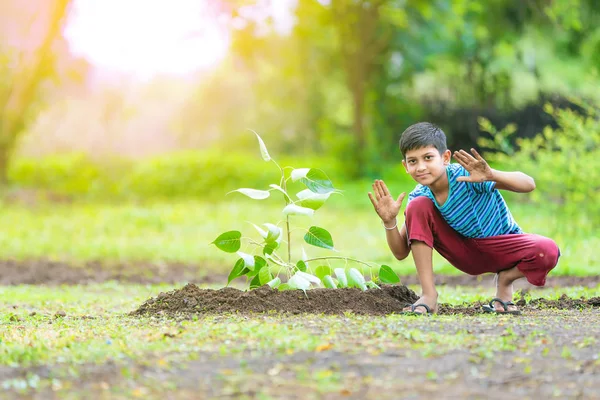 Child Planting Tree Showing Empty Board — Stock Photo, Image