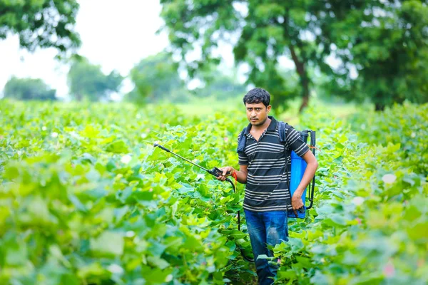 Indian Farmer Spraying Pesticide Cotton Field — 图库照片