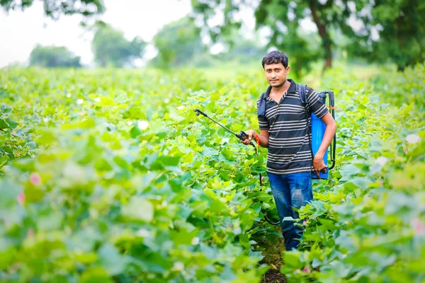 Indian Farmer Spraying Pesticide Cotton Field — Stock Photo, Image