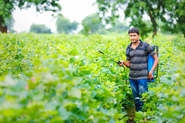 Indian Farmer Spraying Pesticide Cotton Field — 图库照片