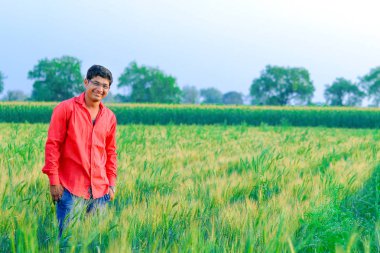 young  indian farmer at wheat field