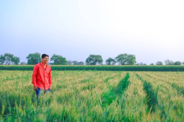 young  indian farmer at wheat field