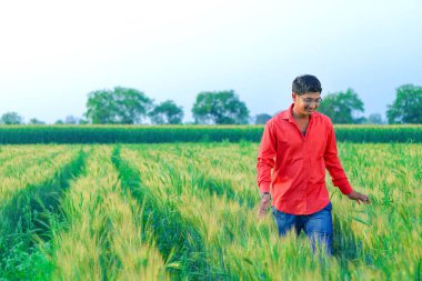 young  indian farmer at wheat field