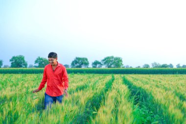 young  indian farmer at wheat field
