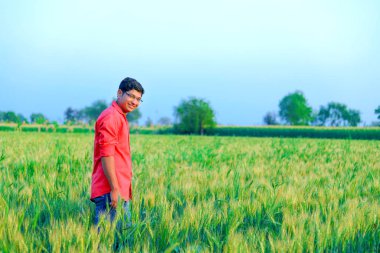 young  indian farmer at wheat field