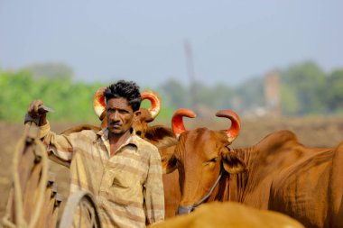 indian farmer on bull cart