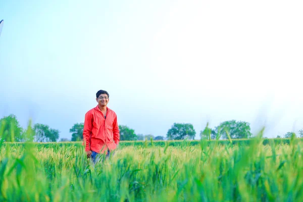 Young Indian Farmer Wheat Field — Stockfoto