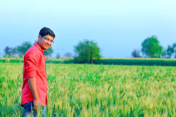 Young Indian Farmer Wheat Field — Zdjęcie stockowe