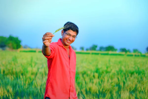 Young Indian Farmer Wheat Field — 스톡 사진
