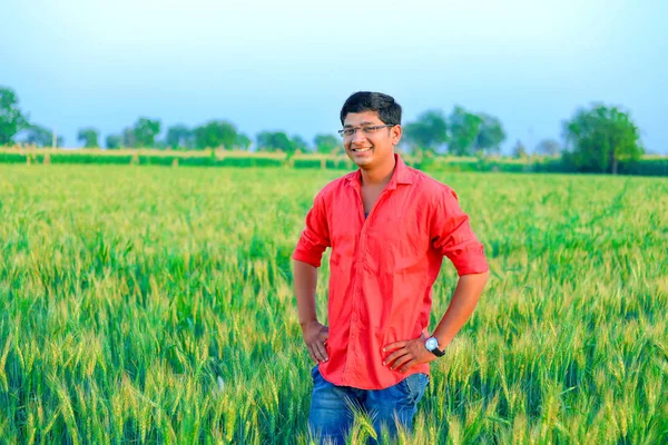 Young Indian Farmer Wheat Field — Stock Photo, Image