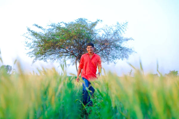 Young Indian Farmer Wheat Field — Stock fotografie