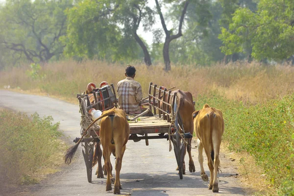 Indian Farmer Bull Cart — Fotografia de Stock