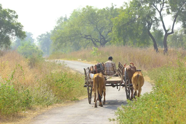 Indian Farmer Bull Cart — Stockfoto