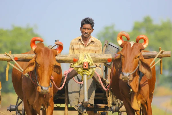 Indian Farmer Bull Cart — Fotografia de Stock