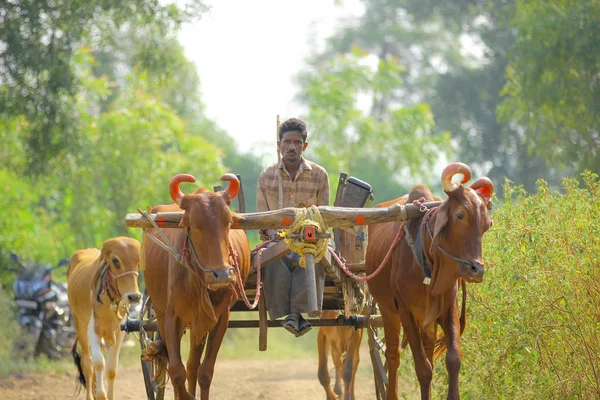 Indian Farmer Bull Cart — Φωτογραφία Αρχείου