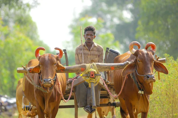 Indian Farmer Bull Cart — Stock Photo, Image