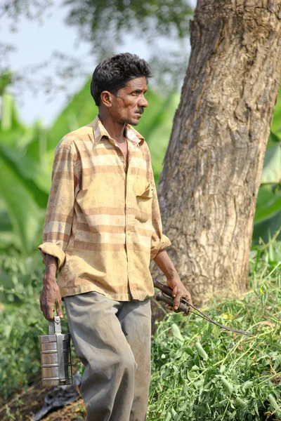 Indian Farmer Holding Tiffin Box Hand —  Fotos de Stock