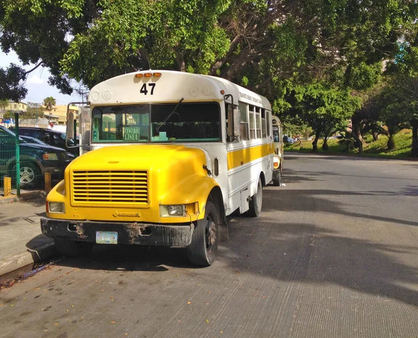 Meksika - Tijuana - Tipik sarı ve beyaz eski tip otobüsler ABD sınır kapısından 