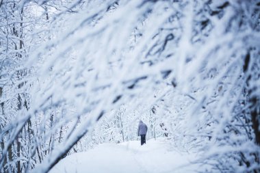 Kışın karlı bir orman yoluyla insan yürüyor