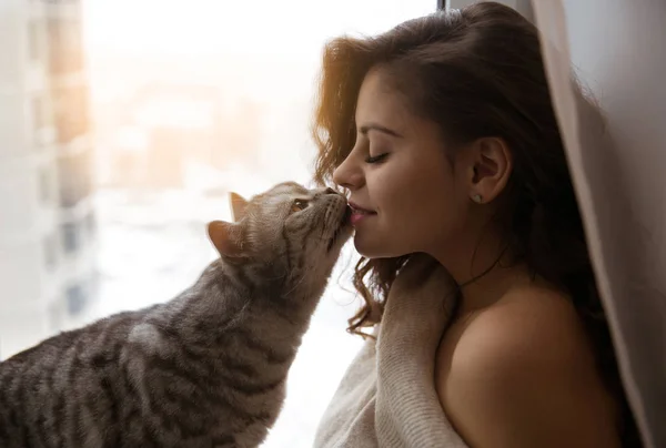 Grande Gris Gato Besos Bonito Chica Imagen de stock