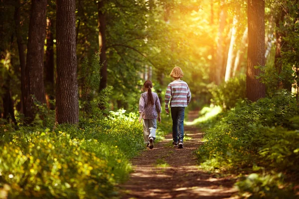 Dos Niños Caminan Por Sendero Del Bosque Soleado Imagen de archivo