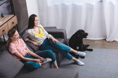 arkadaşlar izlerken tv ve siyah retriever yakınındaki evde oturan uzaktan kumanda ile gülümseyen